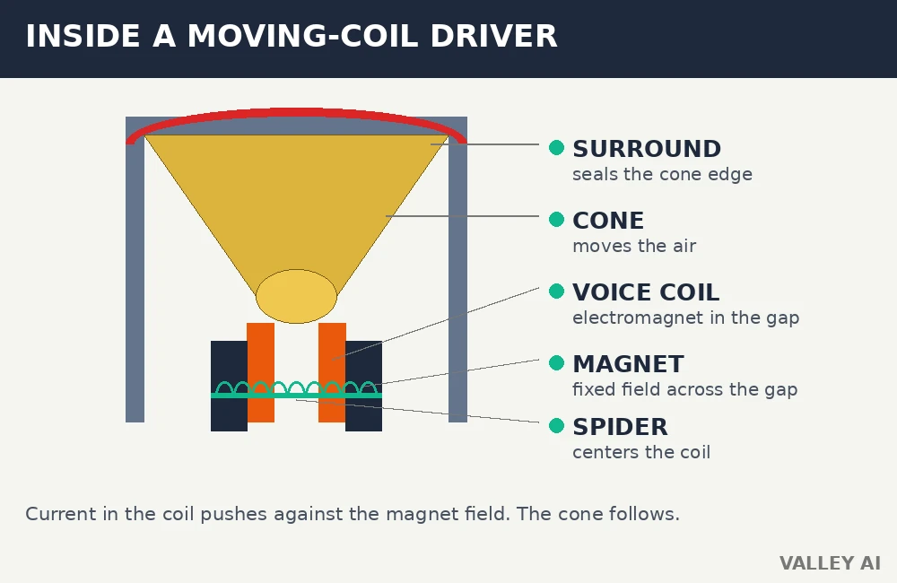 Labeled cross-section of a moving-coil speaker driver showing voice coil, magnet, cone, spider and surround