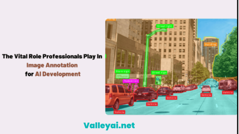 The Vital Role Professionals Play In Image Annotation For AI Development