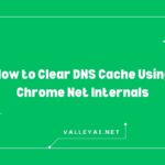 How to Clear DNS Cache Using Chrome Net Internals