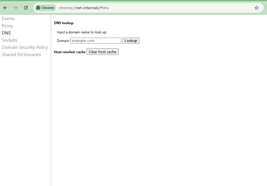 A clean screenshot showing chrome://net-internals/#dns being entered into the Chrome address bar.
