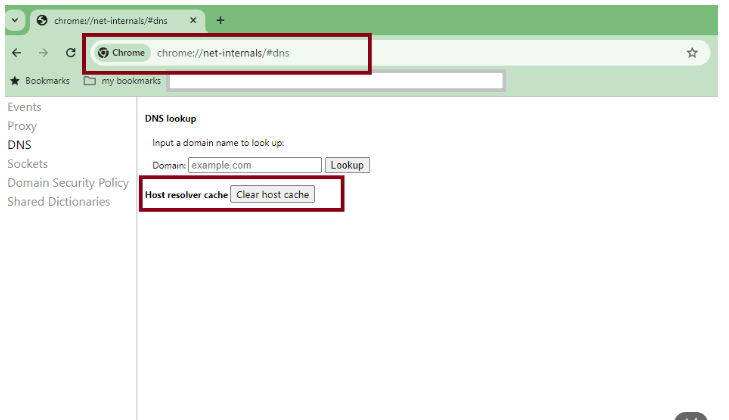 screenshot showing the "chrome://net-internals/#dns" page with the "Clear host cache" button highlighted.