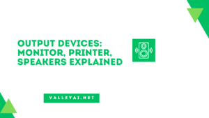 Output Devices: Monitor, Printer, Speakers Explained