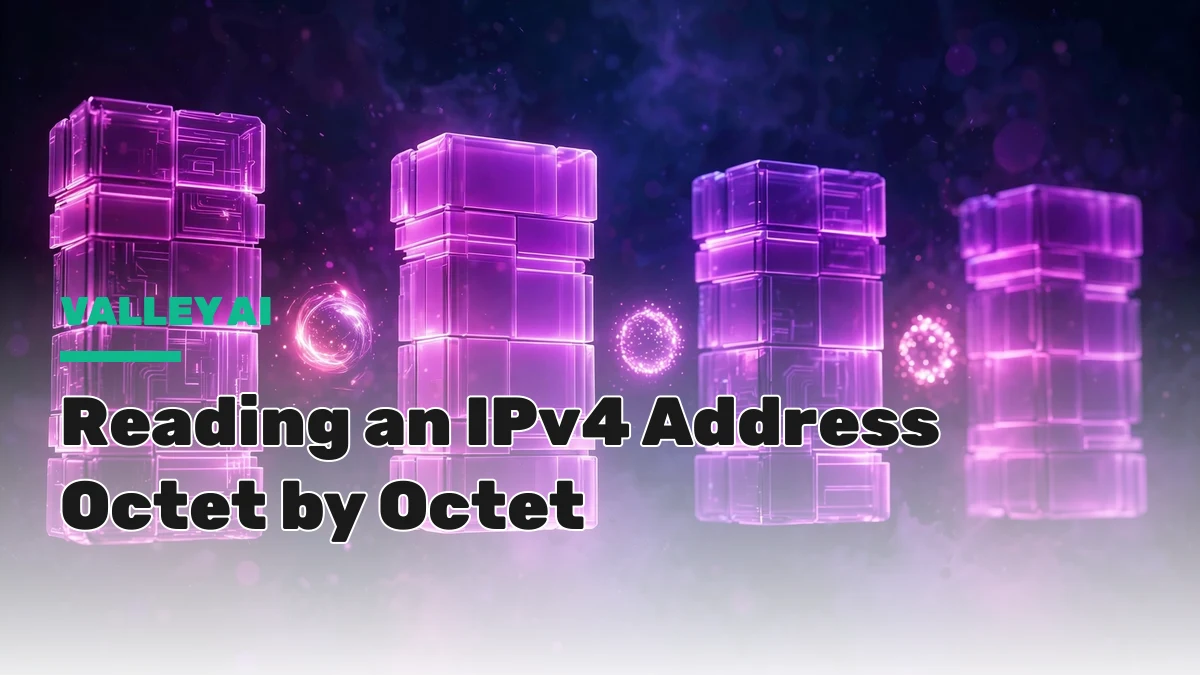 Illustration breaking an IPv4 address into its four octets, such as 192.168.1.1