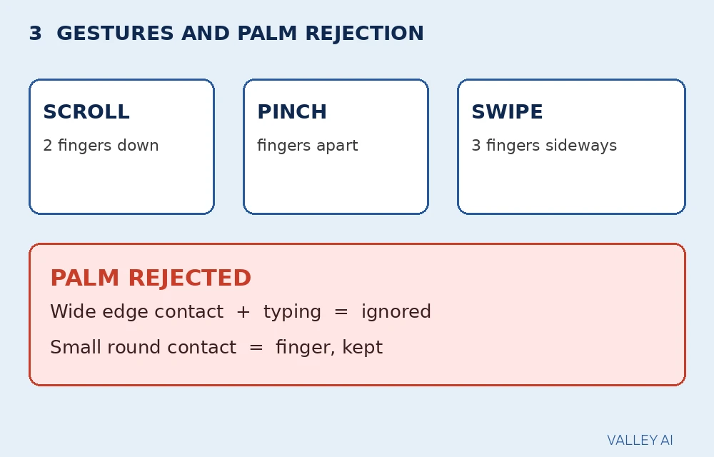 Diagram of trackpad gestures and palm rejection showing two-finger scroll, pinch and a rejected palm contact at the edge