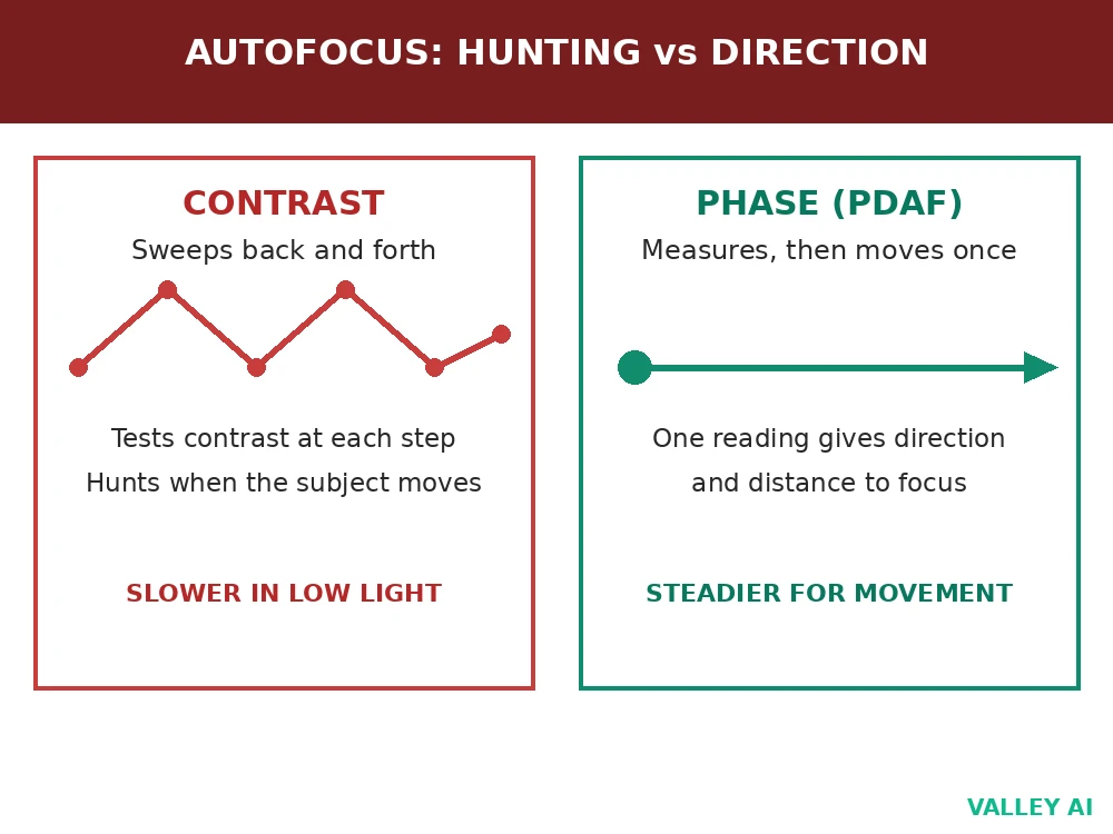 Comparison showing contrast autofocus sweeping back and forth beside phase autofocus moving straight to focus